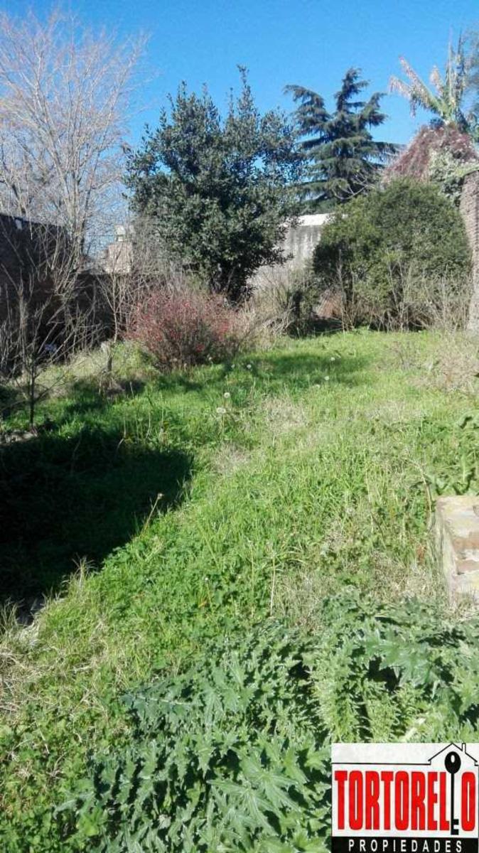 Venta de casa sobre amplio lote, Ituzaingo Norte. — foto 2