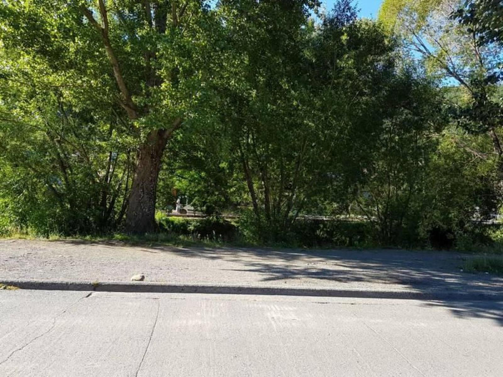 VENTA casa 3 dormitorios en San Martín de los Andes centro. — foto 7