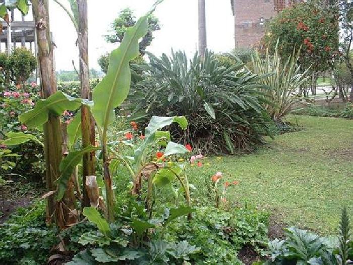 Casa en Venta en Villa de Mayo,sobre avenida. Ideal emprendimiento. 900 mts de lote — foto 3