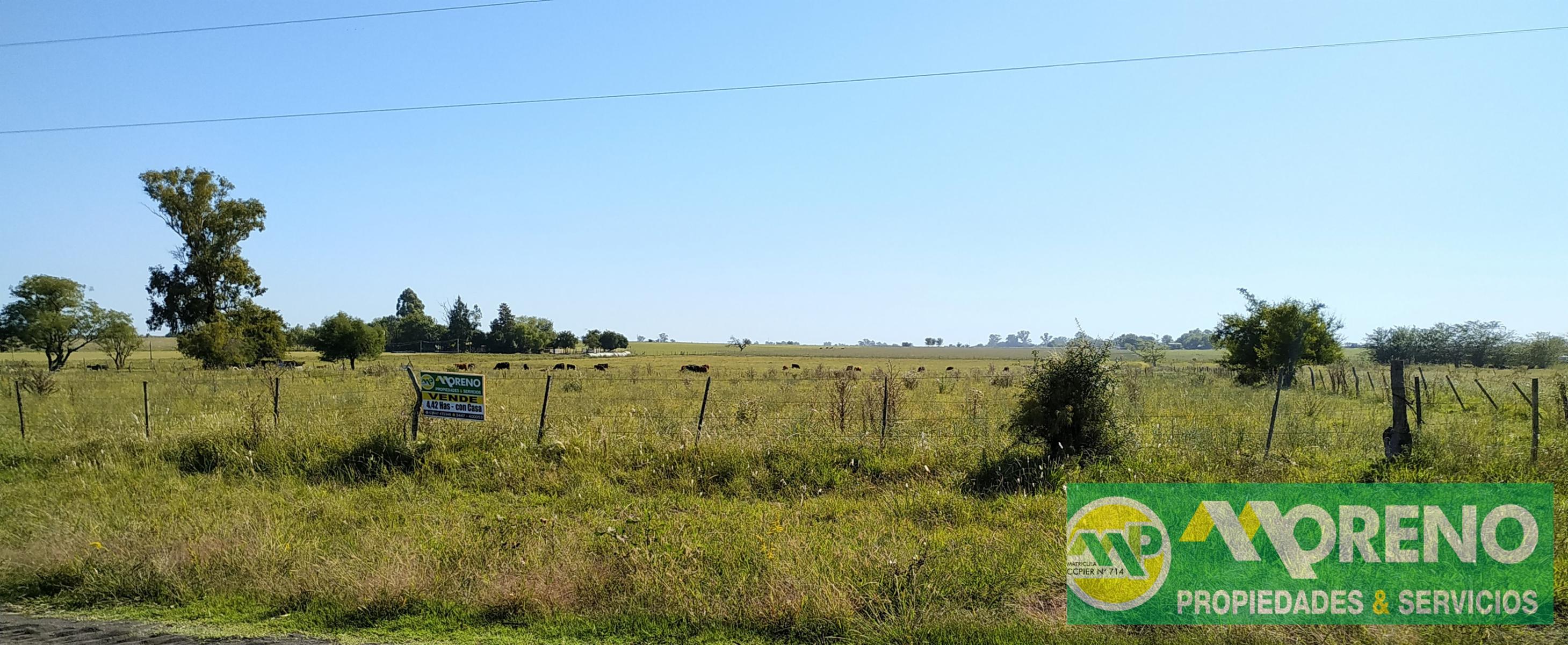 Hermos lote de 4,25 has zona Termas Villa Elisa, 138 mts de frente - 2