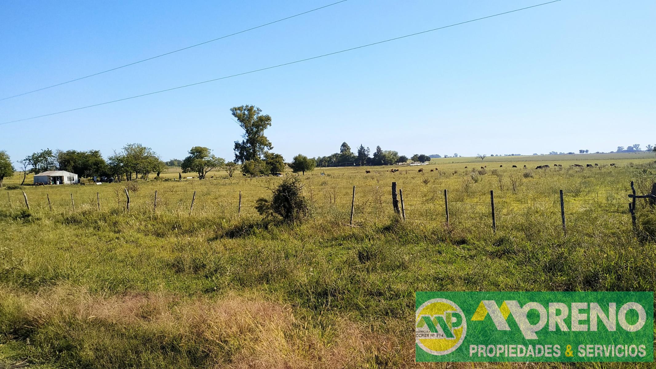 Hermos lote de 4,25 has zona Termas Villa Elisa, 138 mts de frente - 3