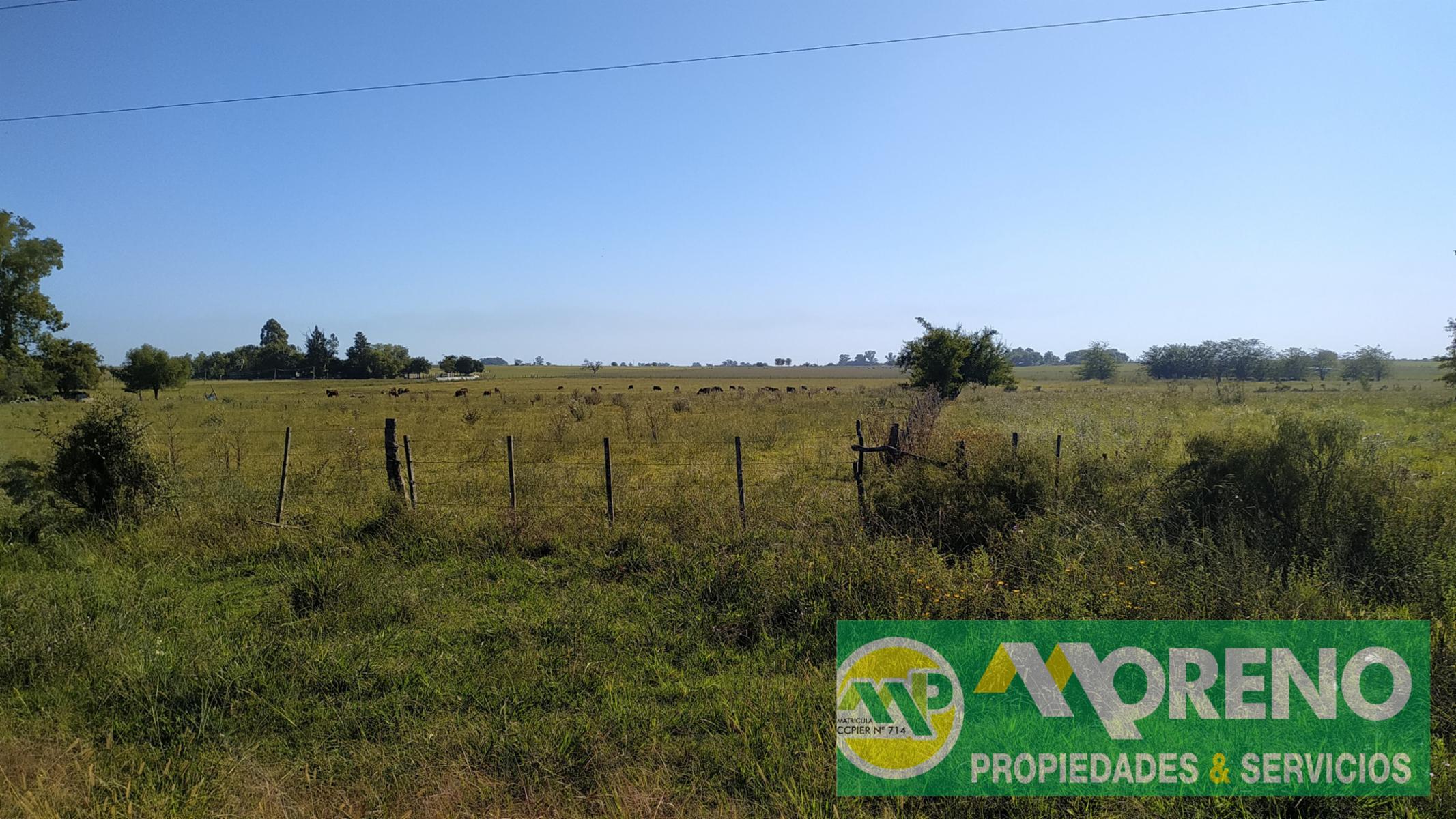 Hermos lote de 4,25 has zona Termas Villa Elisa, 138 mts de frente - 4