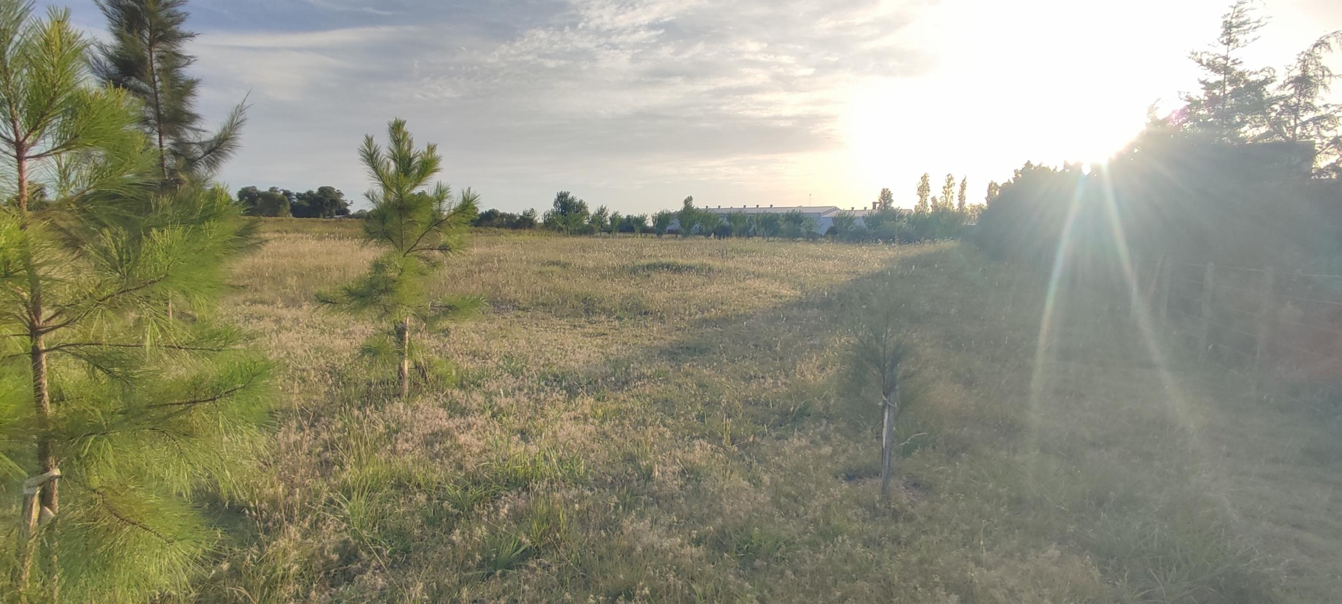 VENTA CASA DE CAMPO en lote de 5000 m2