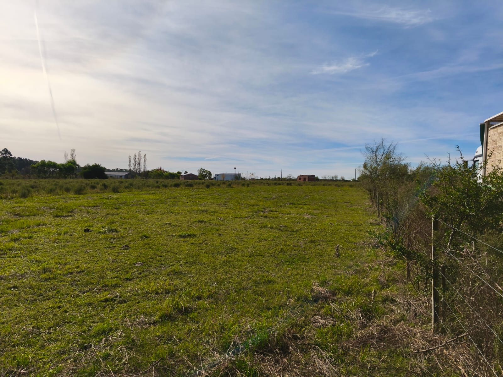 VENTA HECTAREA COLONIA NUEVA AL NORTE - 2