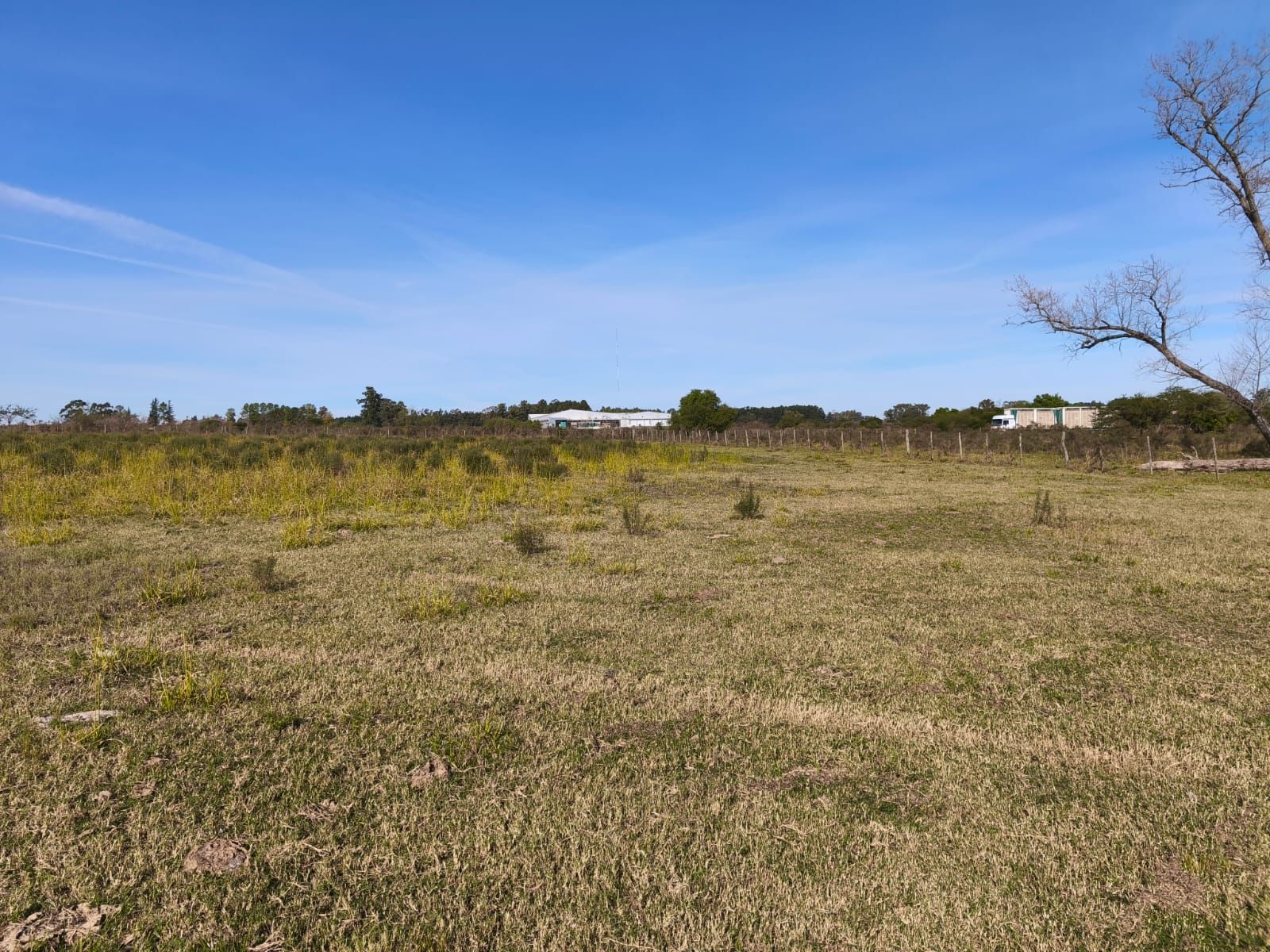 VENTA HECTAREA COLONIA NUEVA AL NORTE - 3