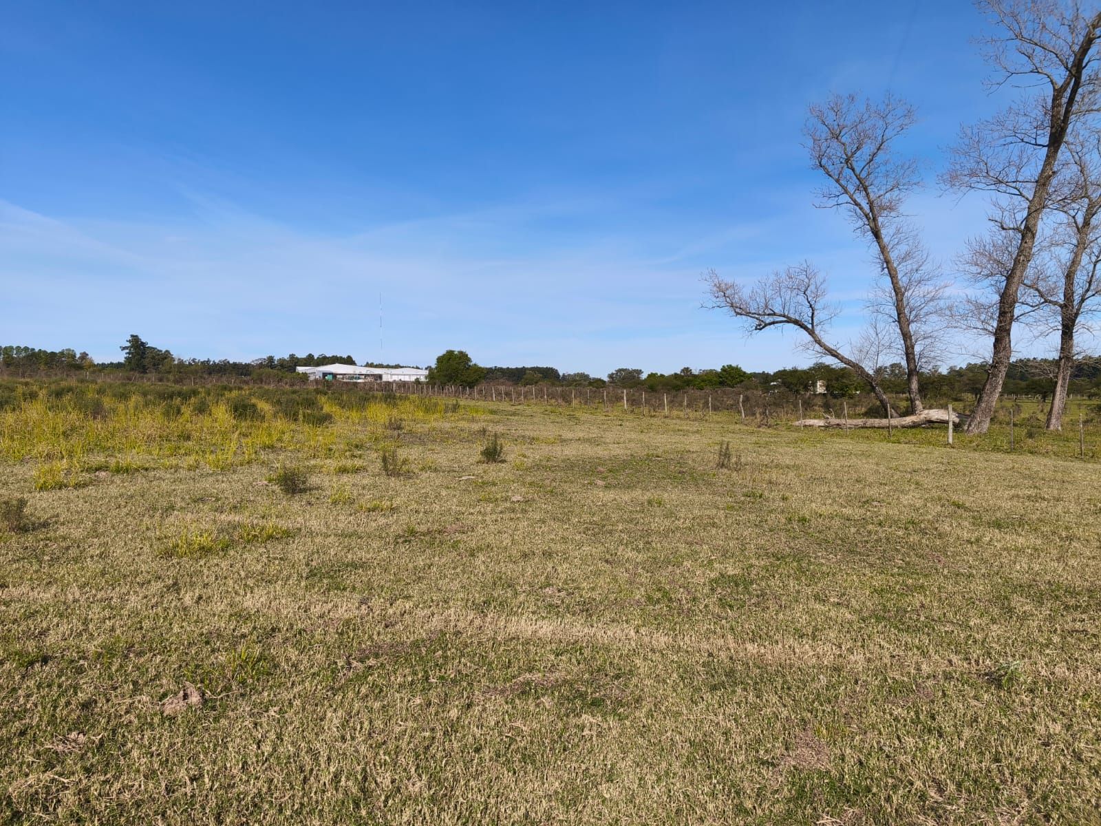VENTA HECTAREA COLONIA NUEVA AL NORTE - 4
