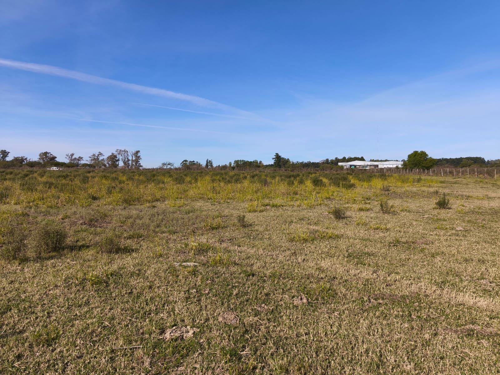 VENTA HECTAREA COLONIA NUEVA AL NORTE - 5