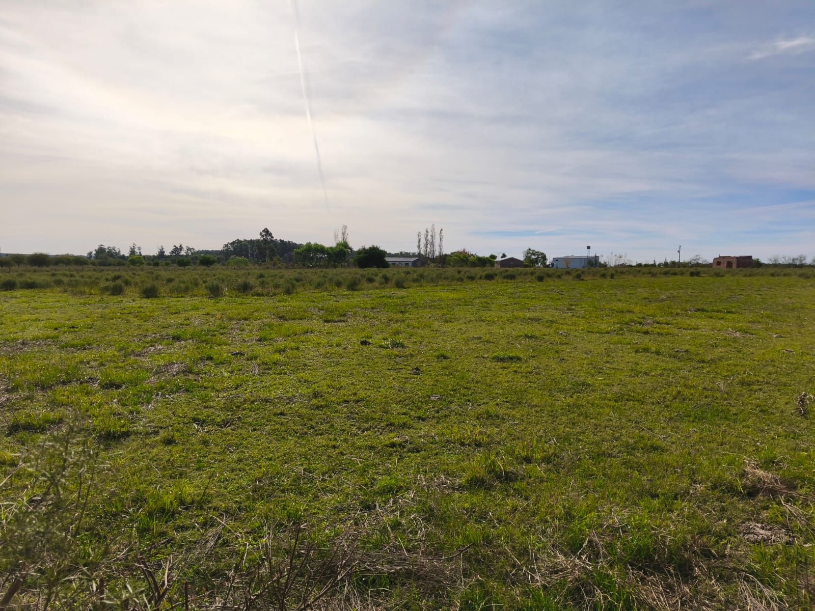VENTA HECTAREA COLONIA NUEVA AL NORTE - 6