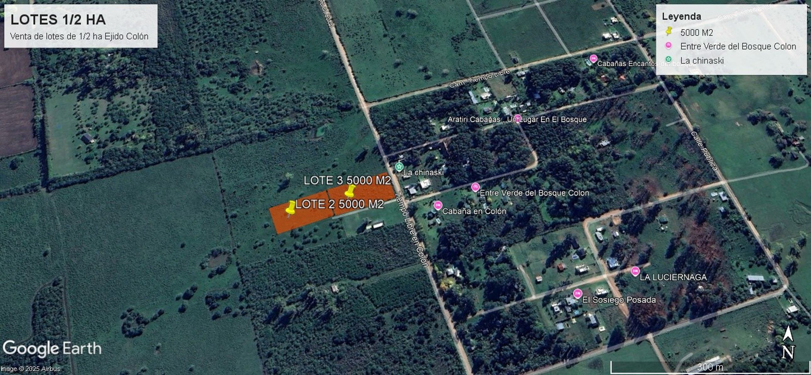 VENTA AMPLIOS LOTES DE 5000 m2 - EJIDO COLON