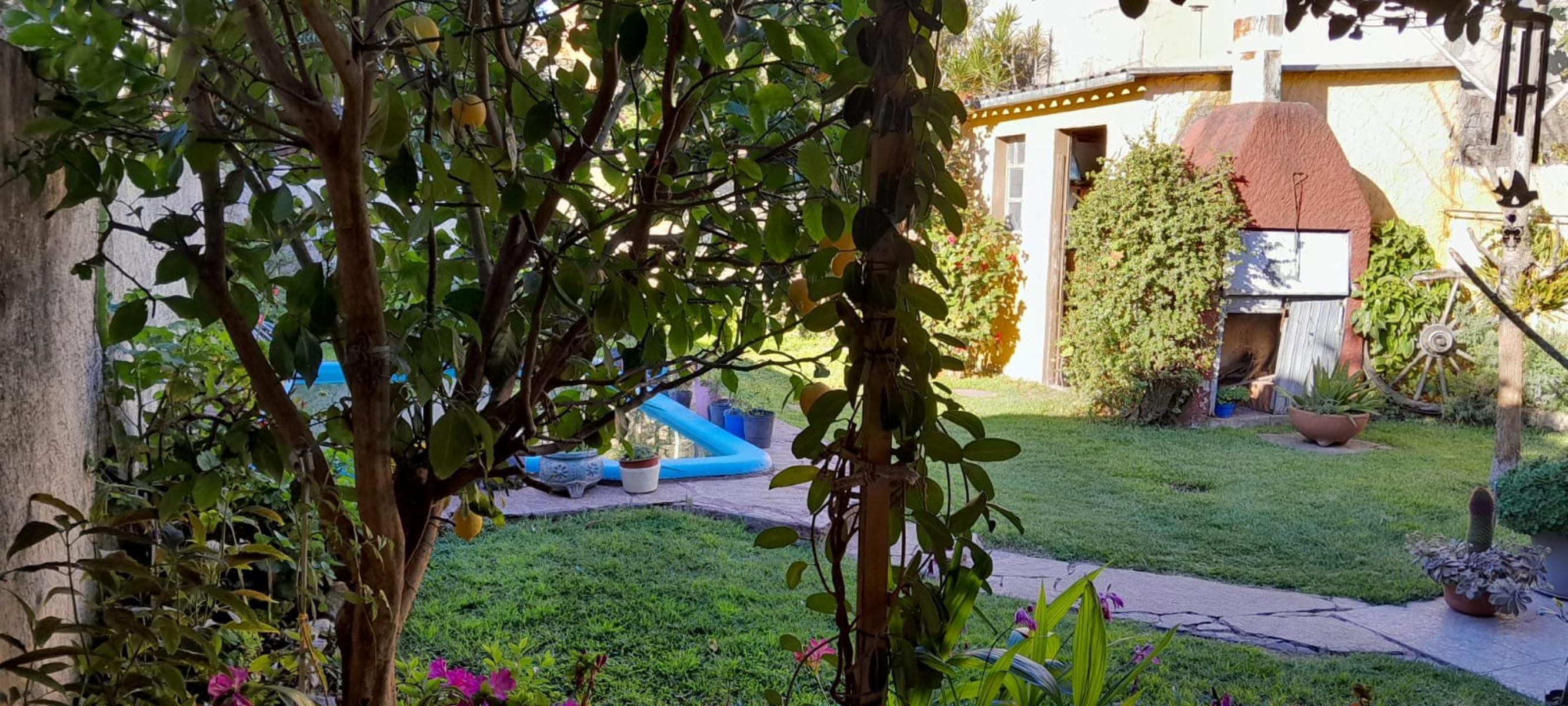 Excelente multifamiliar garage para dos autos ,casa de 4 ambientes al frete con piscina y depatamento de 3 ambientes al fondo — foto 6