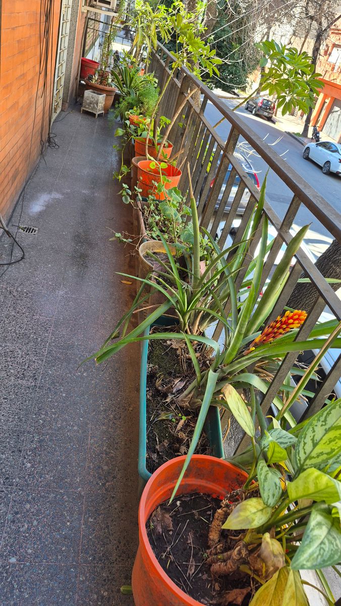 PH Venta Terraza Propia Entrada Independiente Primer Piso - Apto a Crédito - 12