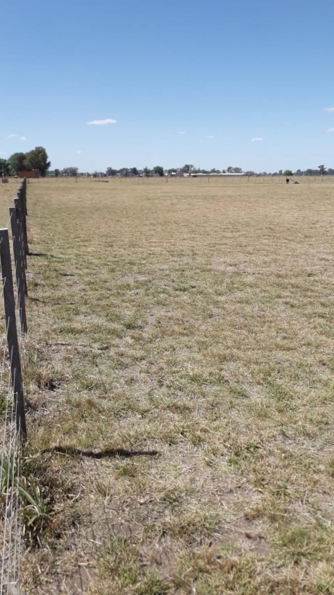 Oportunidad: &ampquotDOS&quot Fracciónes de 4275m² / y de 4138m² aprox. c/u (desde u$d40.000.-) — foto 11