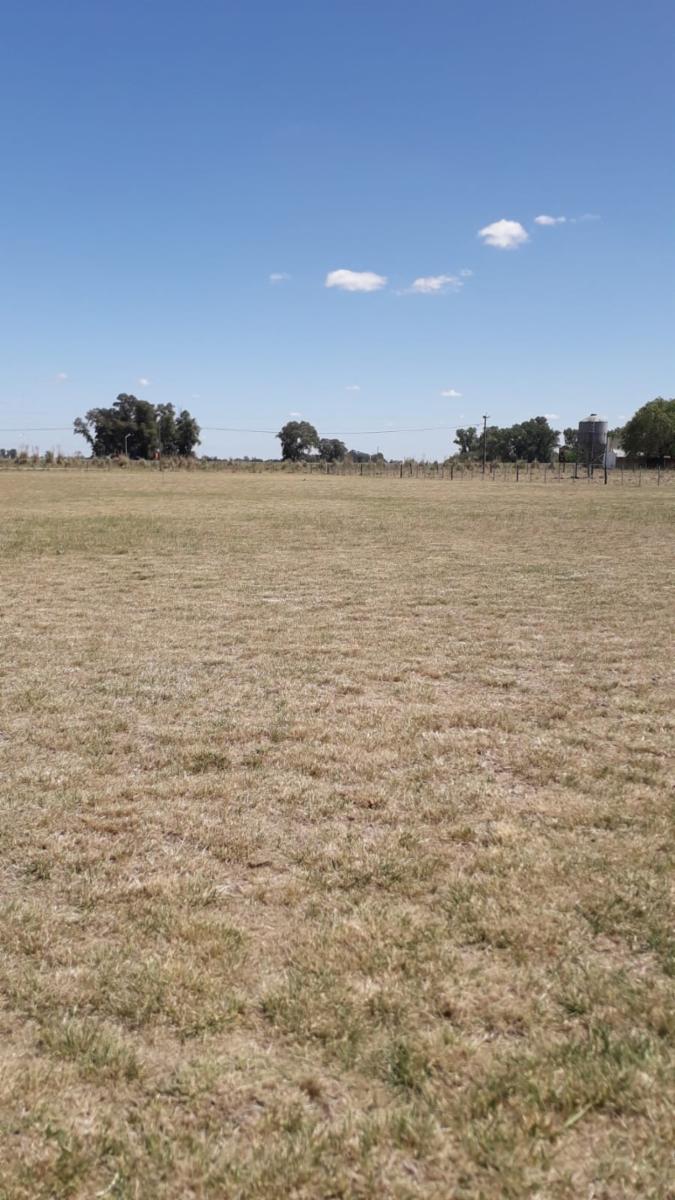 Oportunidad: &ampquotDOS&quot Fracciónes de 4275m² / y de 4138m² aprox. c/u (desde u$d40.000.-) — foto 13