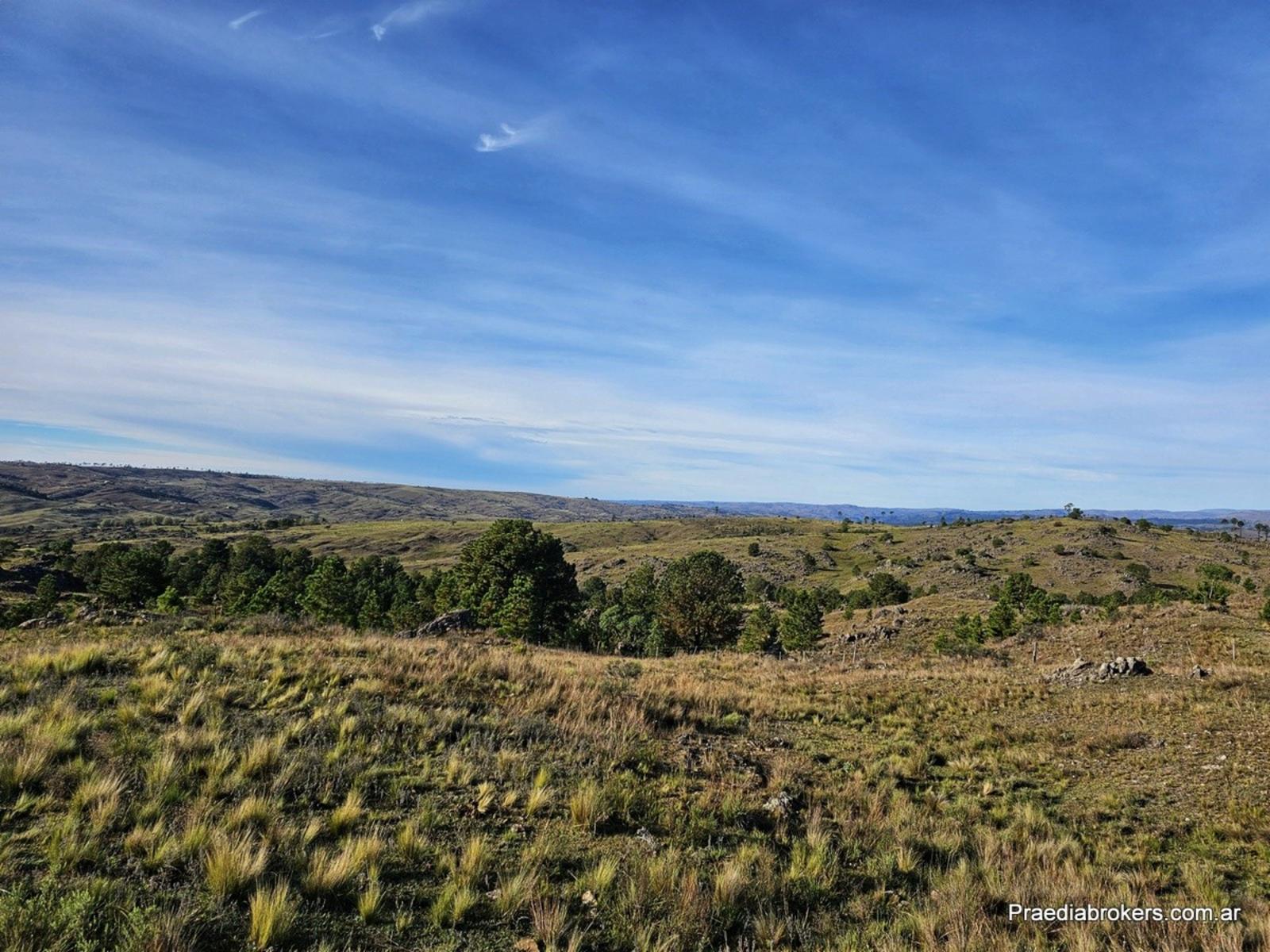 Lotes serranos en Villa Yacanto. Excelente zona. FINANCIACIÓN — foto 15