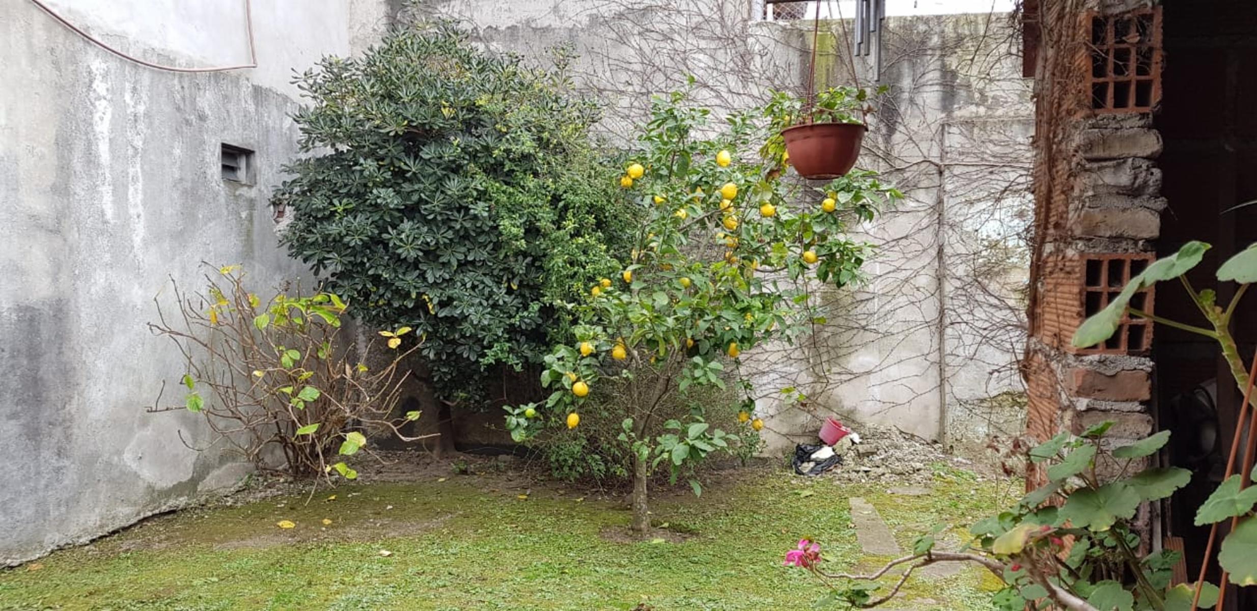 CASA 3 AMBIENTES EN QUILMES OESTE. — foto 10