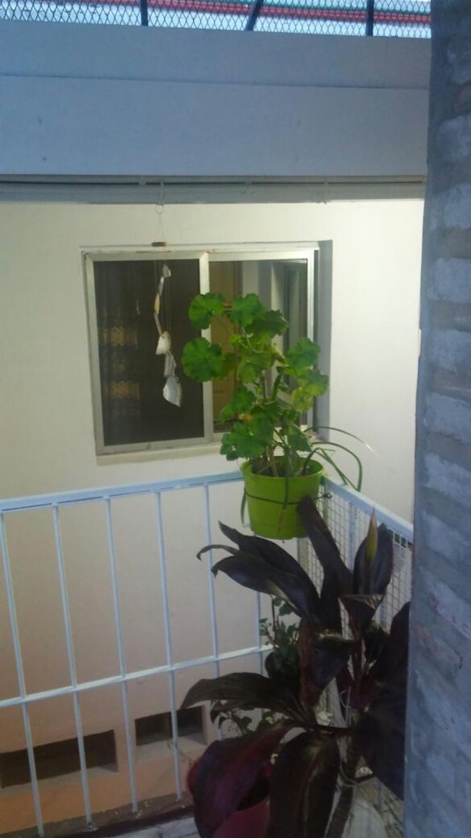 DEPARTAMENTO TIPO CASA 1ºPISO POR ESCALERA 2 AMBIENTES EN QUILMES OESTE. — foto 7