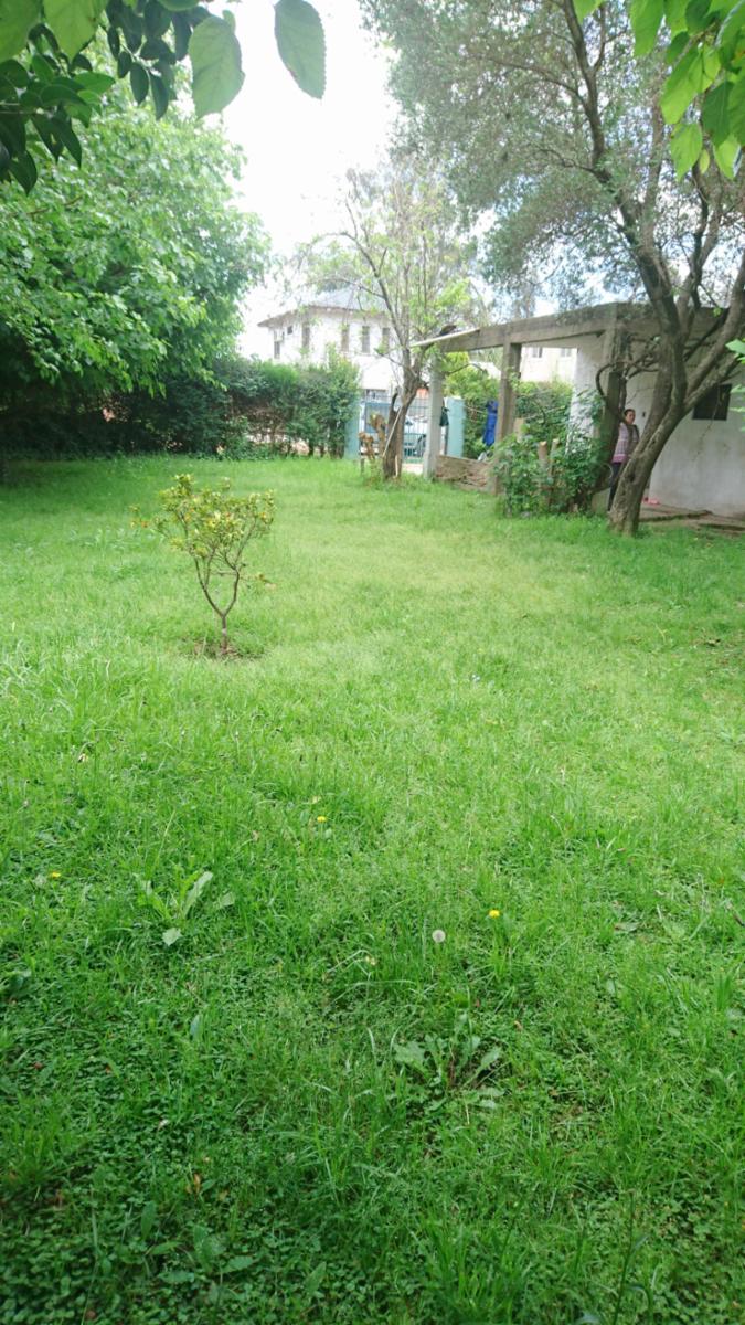 APTA CREDITO. Casa de 3 ambientes con lote de 600m2. Muy bien ubicada a metros de la ruta — foto 5