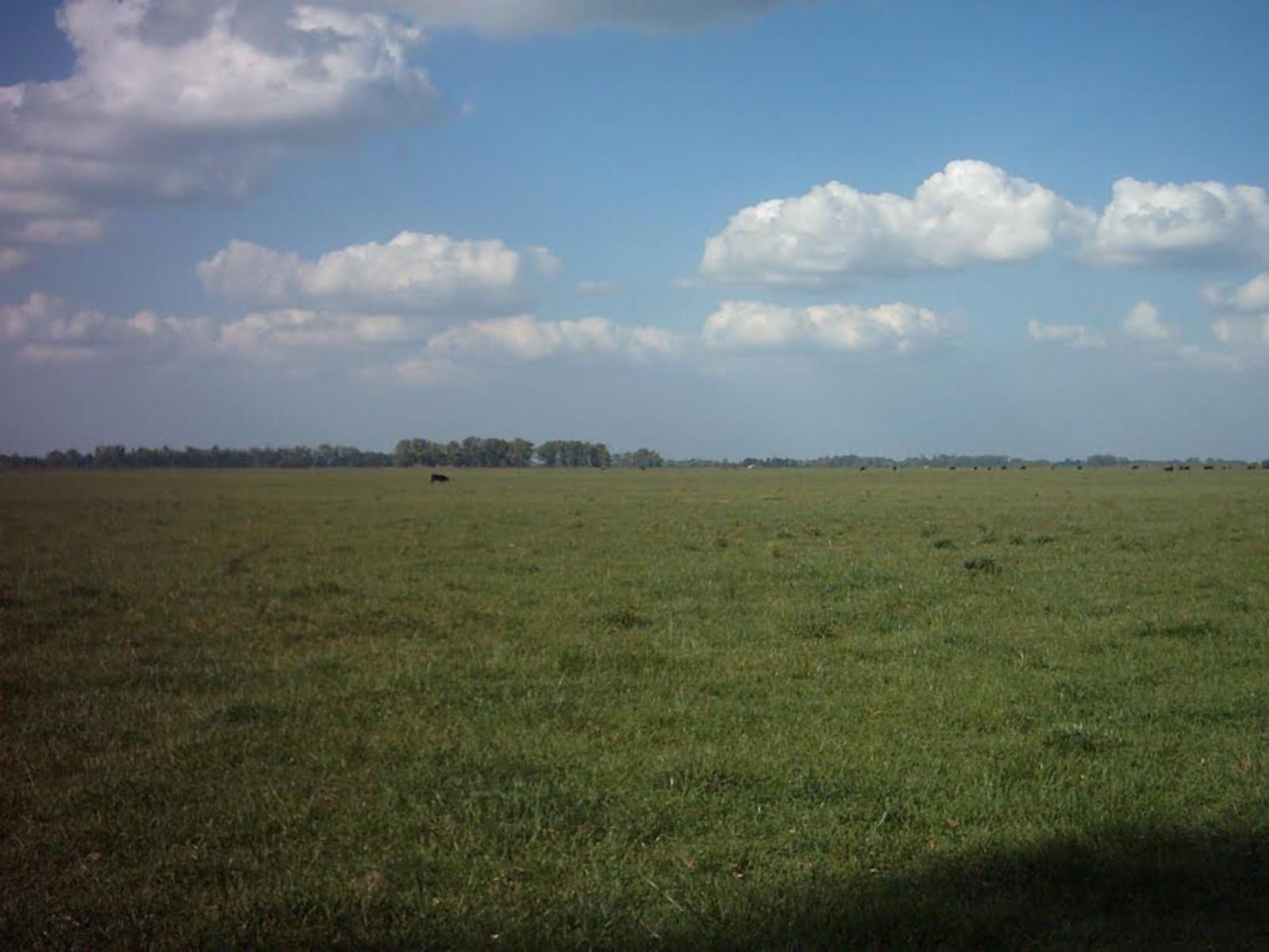 VENTA DE 447 HECTAREAS EN VILLARS, PDO DE LAS HERAS — foto 6