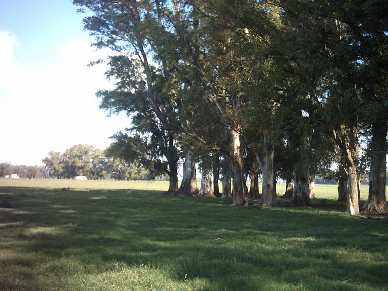 VENTA DE 447 HECTAREAS EN VILLARS, PDO DE LAS HERAS — foto 8