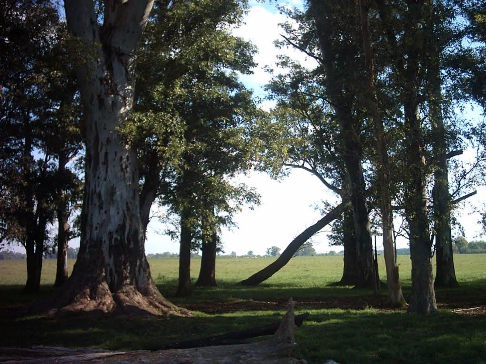 VENTA DE 447 HECTAREAS EN VILLARS, PDO DE LAS HERAS — foto 10