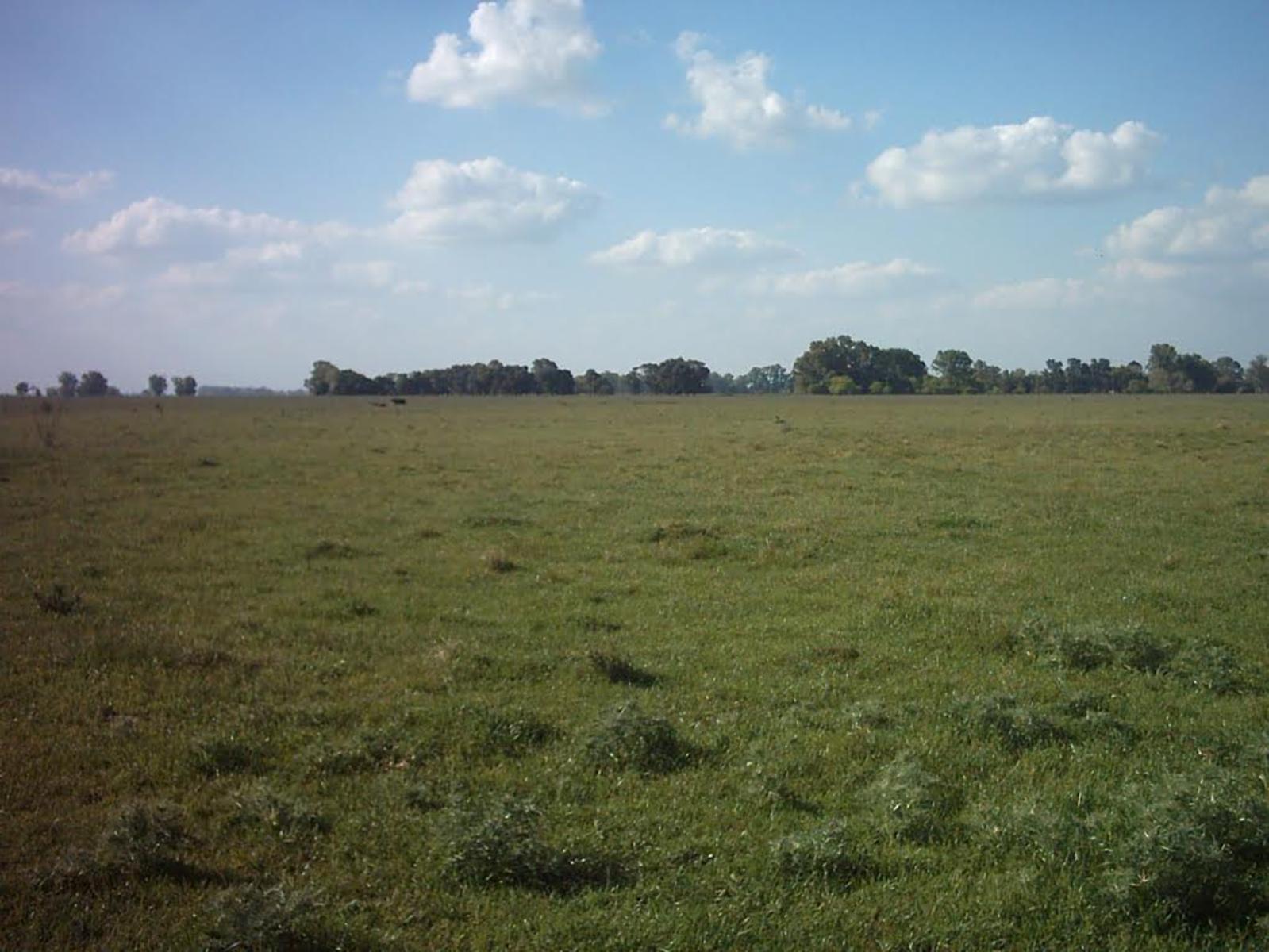 VENTA DE 447 HECTAREAS EN VILLARS, PDO DE LAS HERAS — foto 12