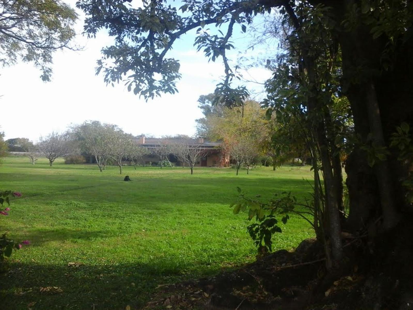 363 HECTAREAS EN LUJAN, CERCA DE LA RUTA. — foto 4
