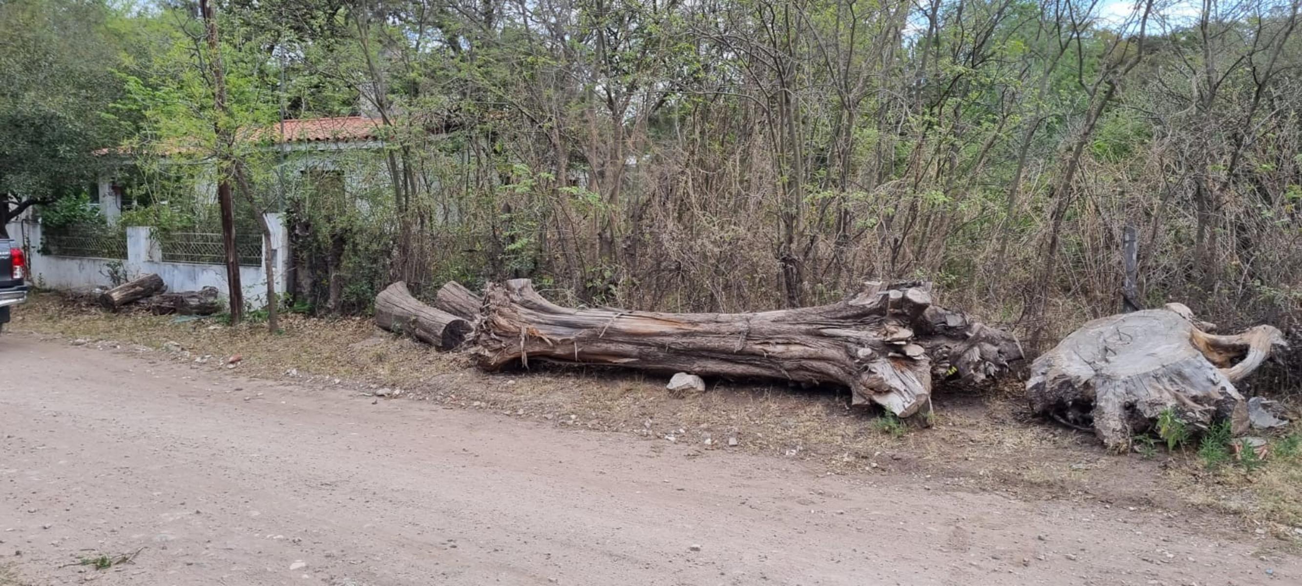 VENTA DE 2 LOTES EN BLOCK ALAMBRADOS 800 M2 CON ESCRITURA. — foto 2