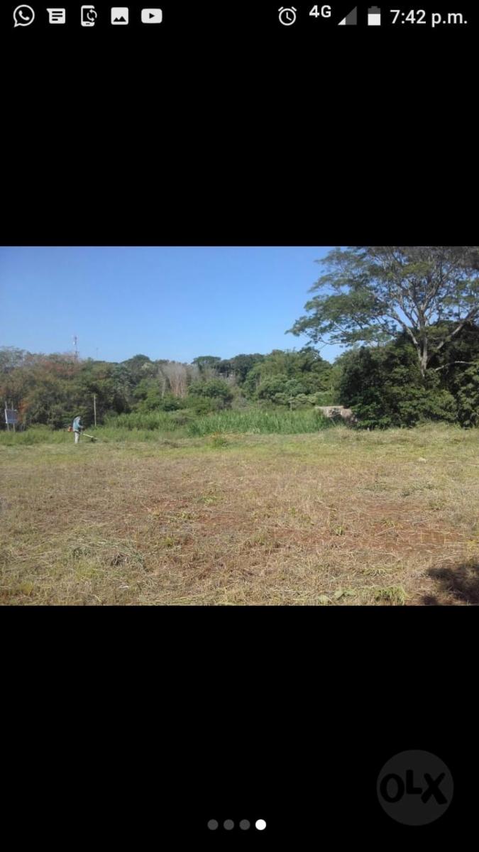 CAMPO MIXTO EN MISIONES. - 1
