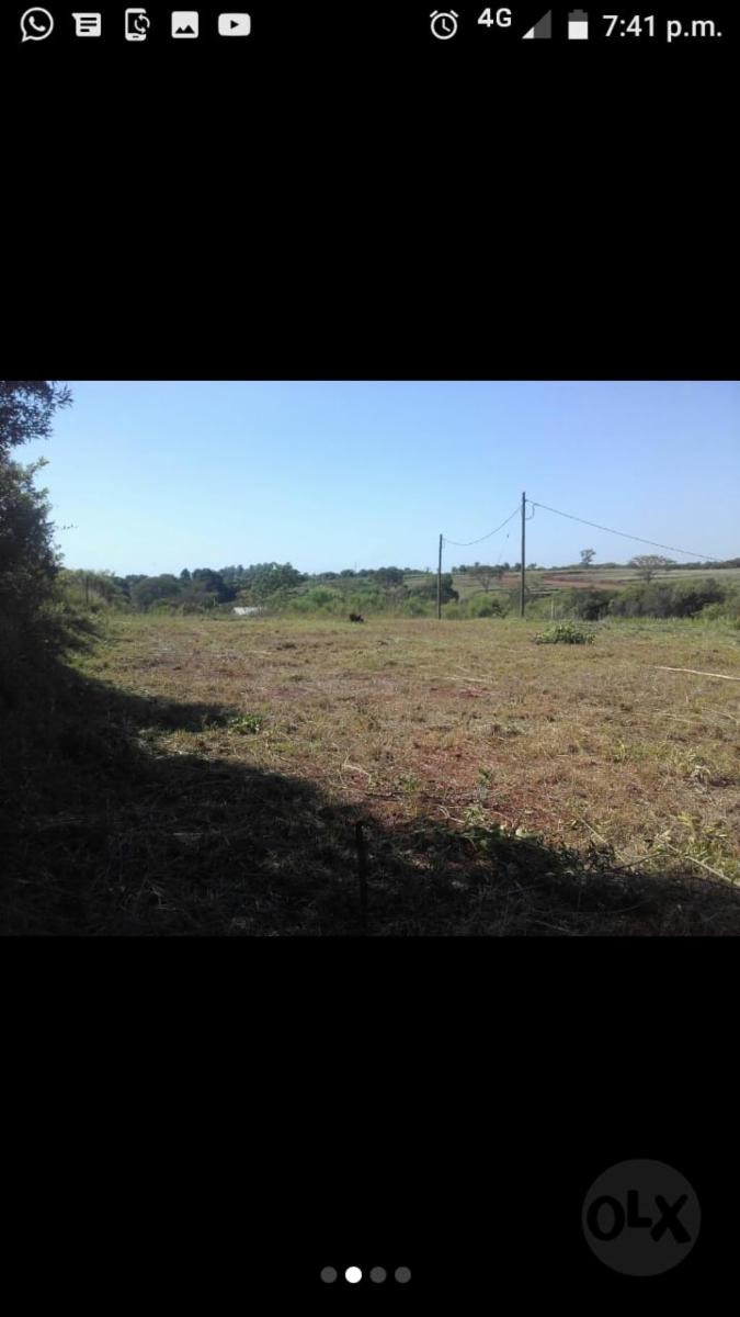 CAMPO MIXTO EN MISIONES. - 2