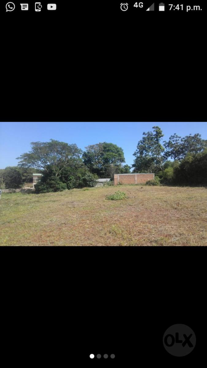 CAMPO MIXTO EN MISIONES. - 3