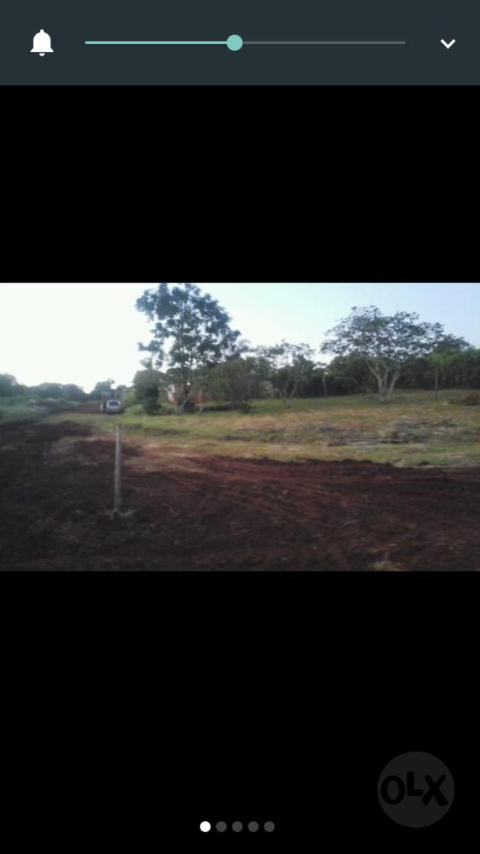 CAMPO MIXTO EN MISIONES. - 4