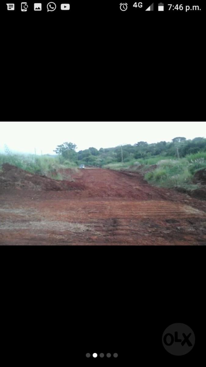 CAMPO MIXTO EN MISIONES. - 5