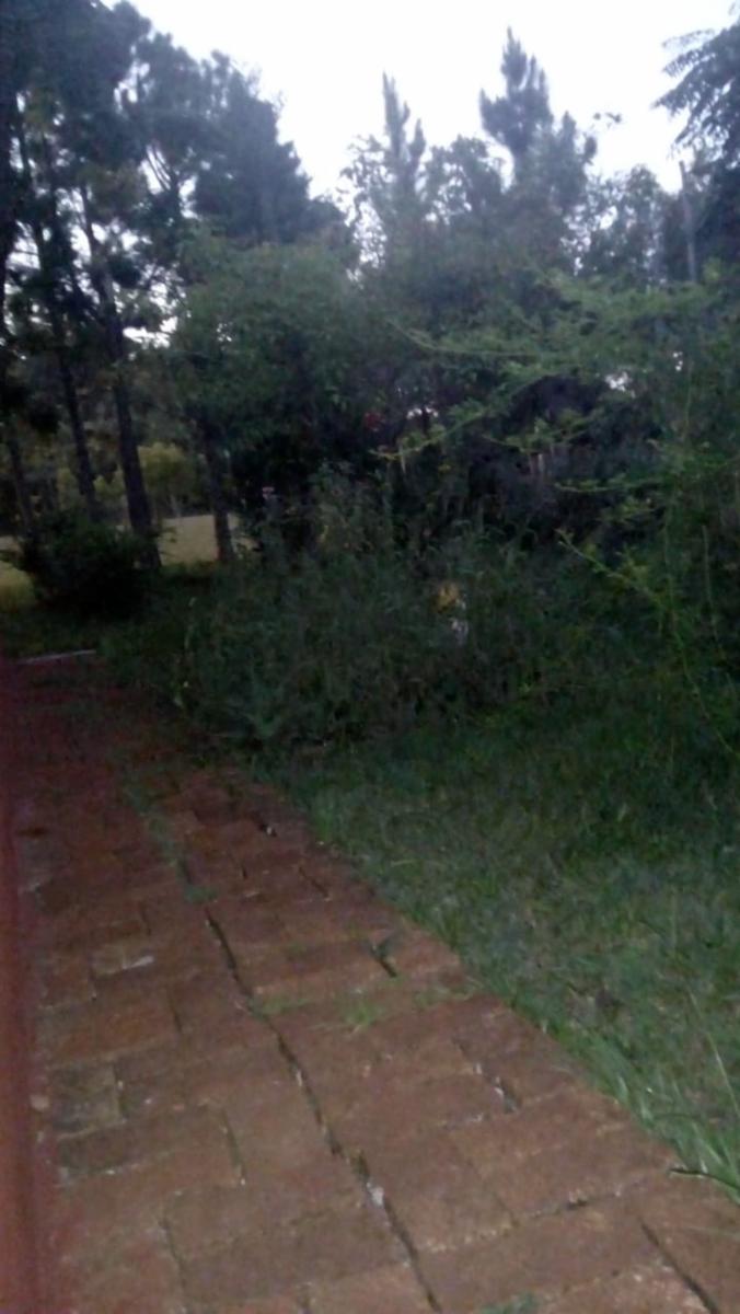 CAMPO MIXTO EN MISIONES. - 14