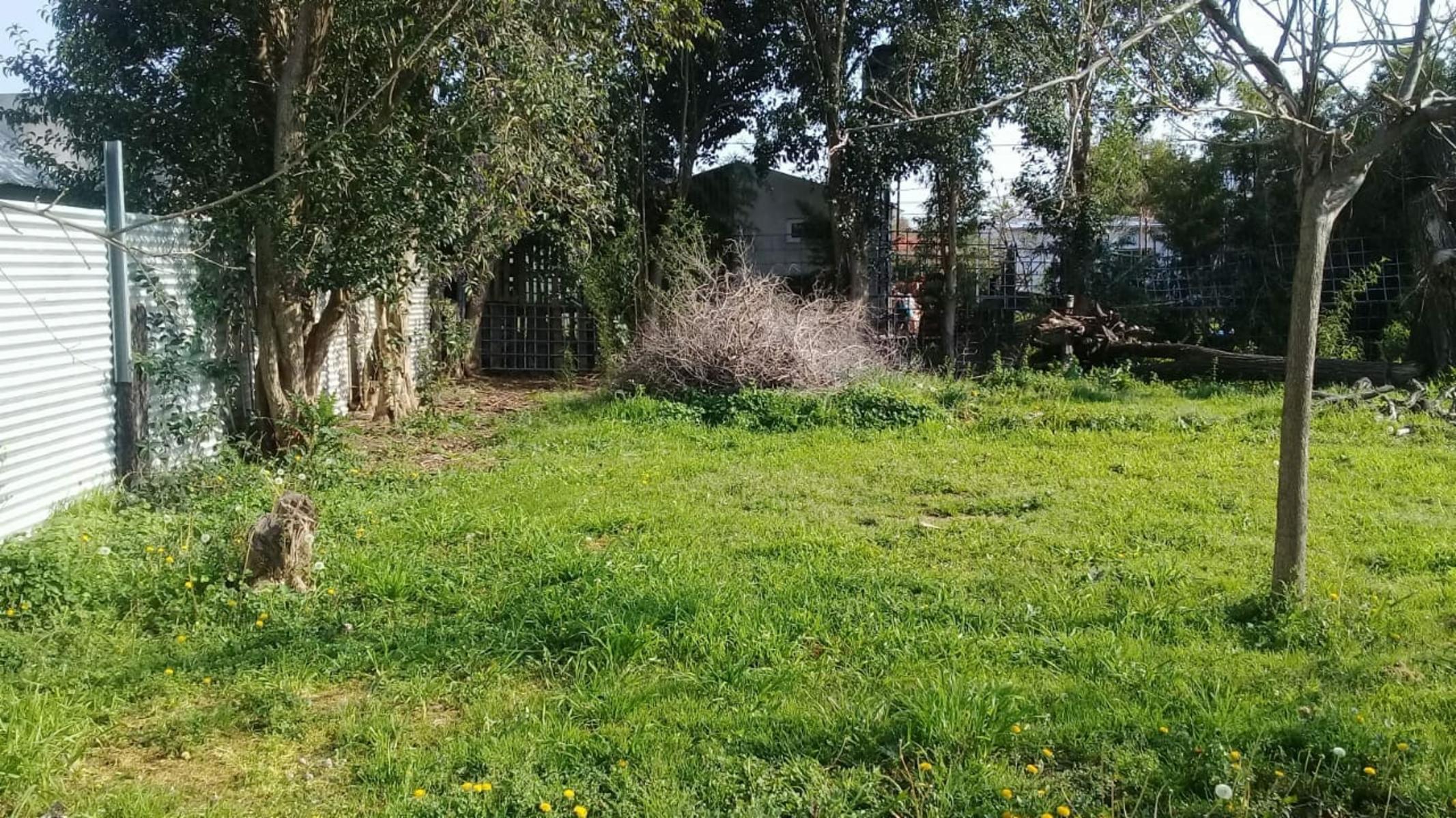 INDUSTRIA HABILITADA EN JAUREGUI SOBRE FRACCION DE 1054 M2 — foto 5