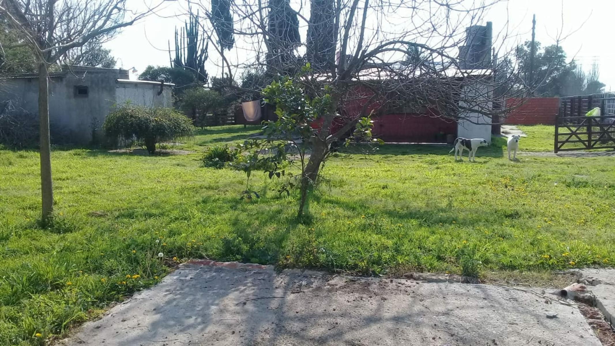 INDUSTRIA HABILITADA EN JAUREGUI SOBRE FRACCION DE 1054 M2 — foto 7