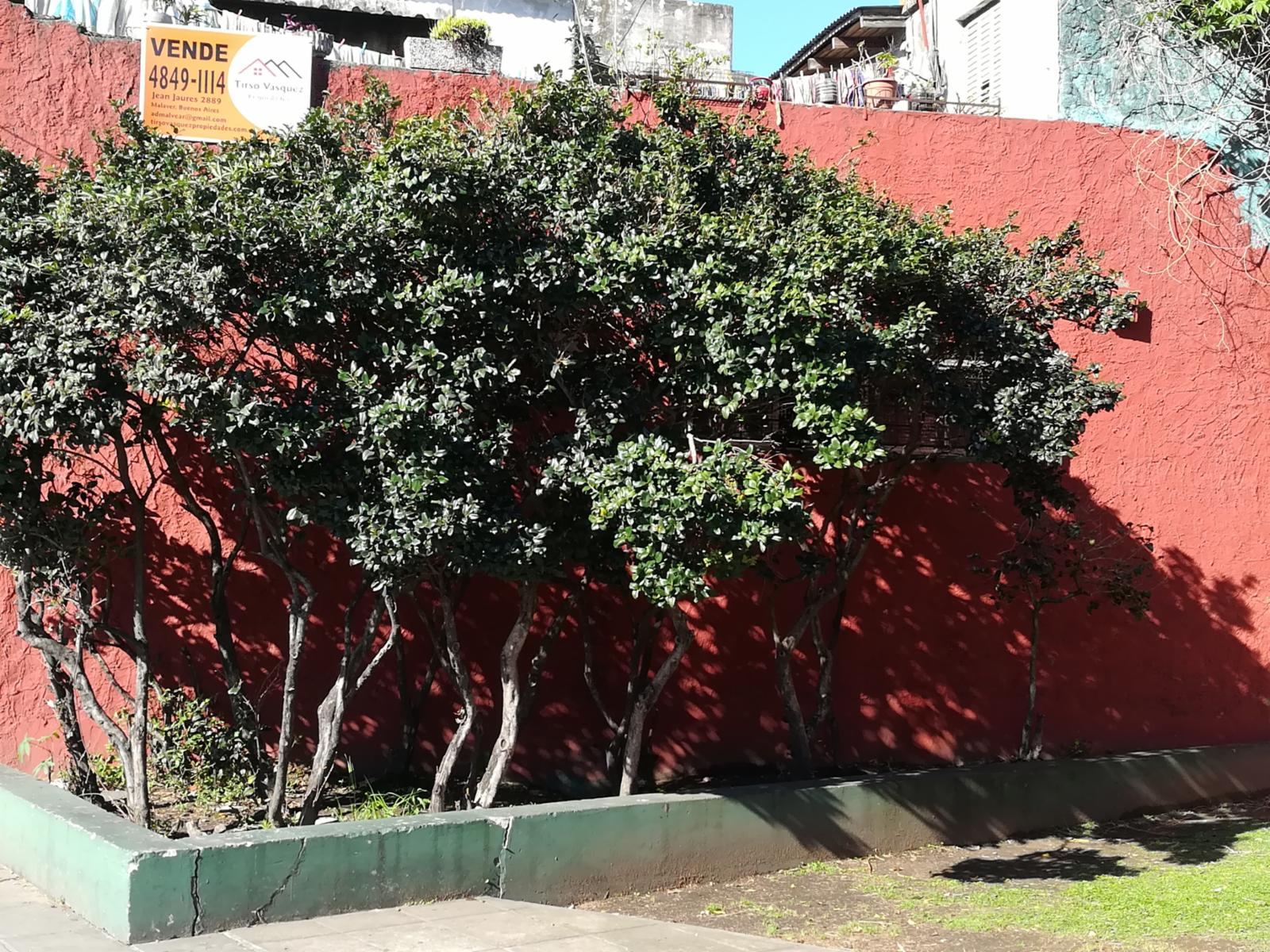 PH 3 AMB Y LOCAL COMERCIAL. — foto 4