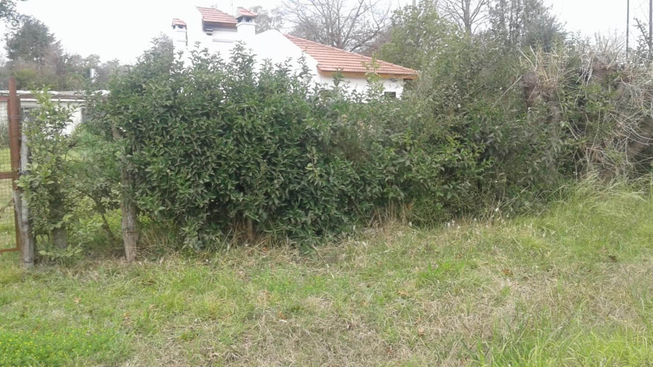 Manzanares centro fracción de 800 mts con casa a reciclar — foto 3