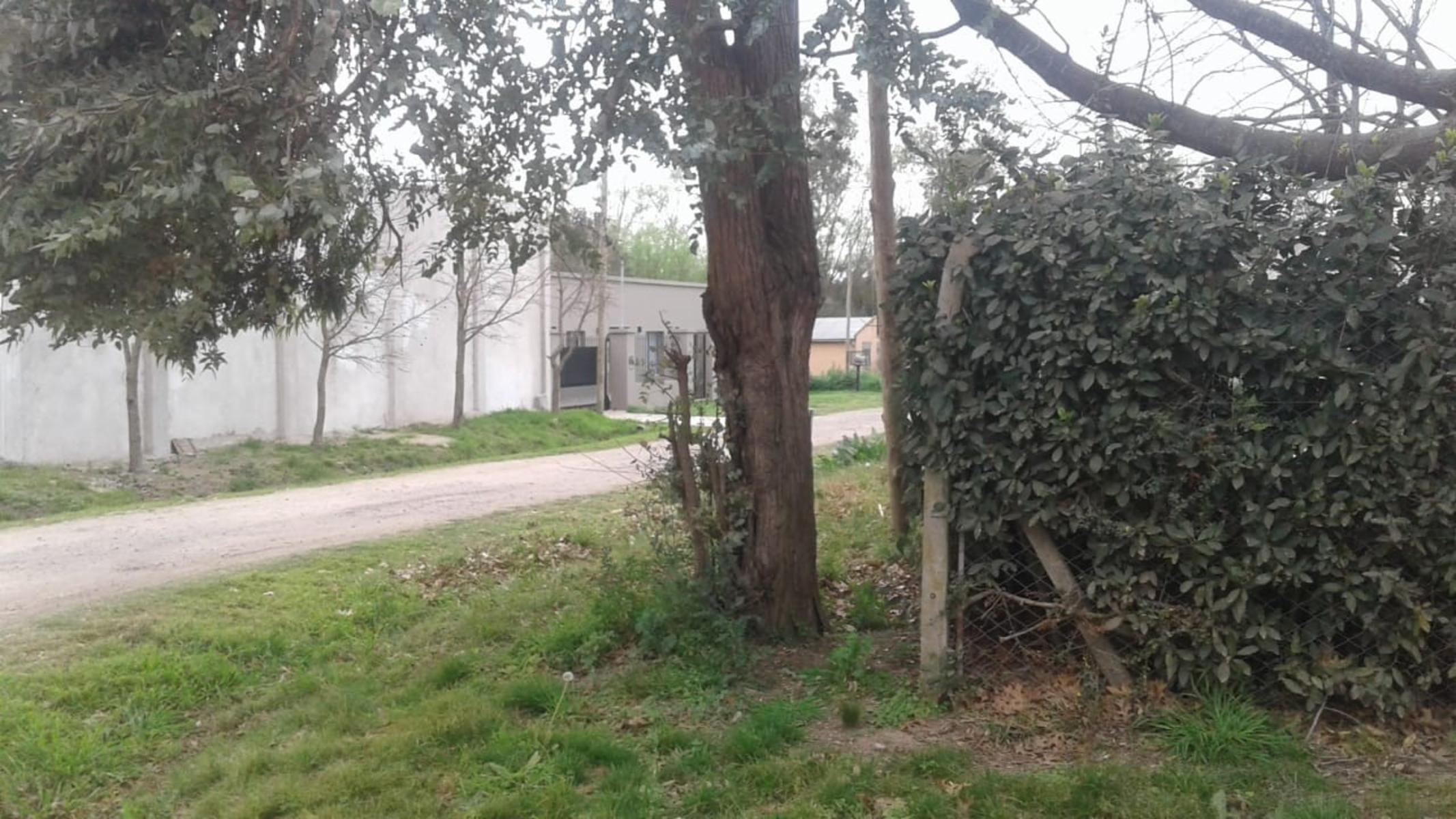 Manzanares centro fracción de 800 mts con casa a reciclar — foto 4