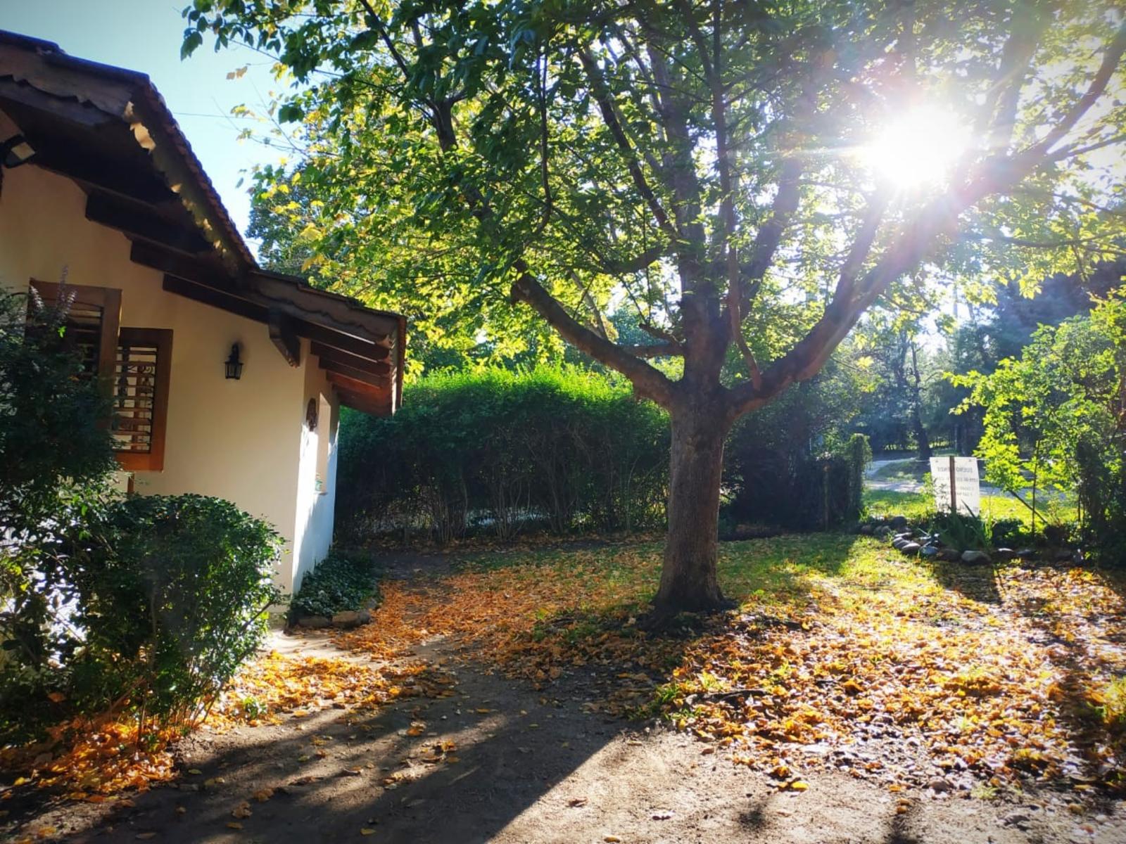 2 CASAS Y 2 DEPARTAMENTOS EN EXCELENTE ESTADO, EN UN TERRENO DE 950 METROS. PEGADO AL CENTRO. NO SE VENDE POR SEPARADO. https://youtu.be/LPhbAYXXcH8 — foto 6