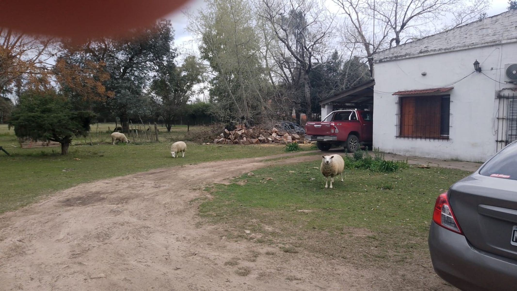 Campito Polero en Gral. Rodriguez a 2000 mts del centro de la ciudad