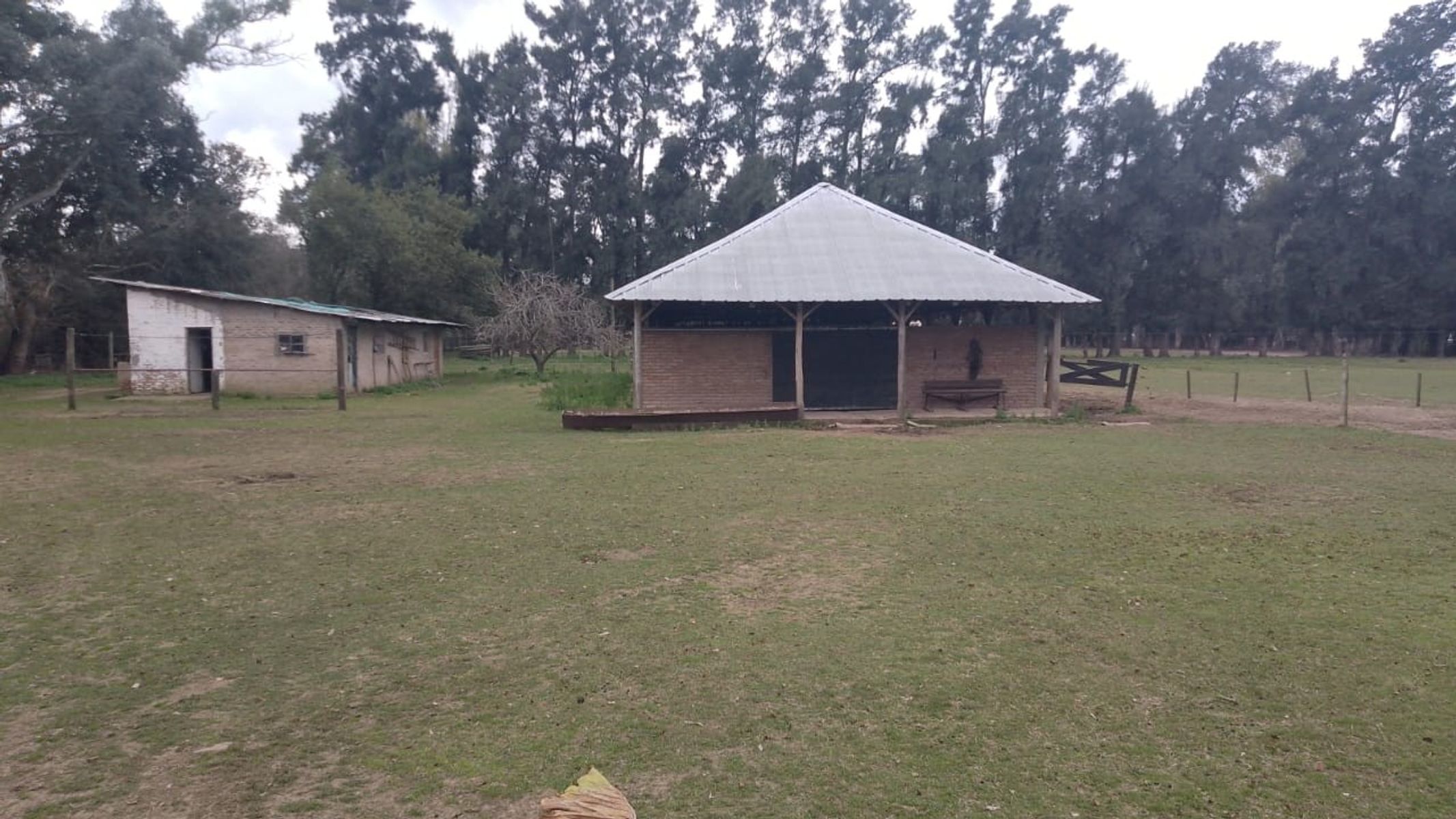 Campito Polero en Gral. Rodriguez a 2000 mts del centro de la ciudad — foto 2