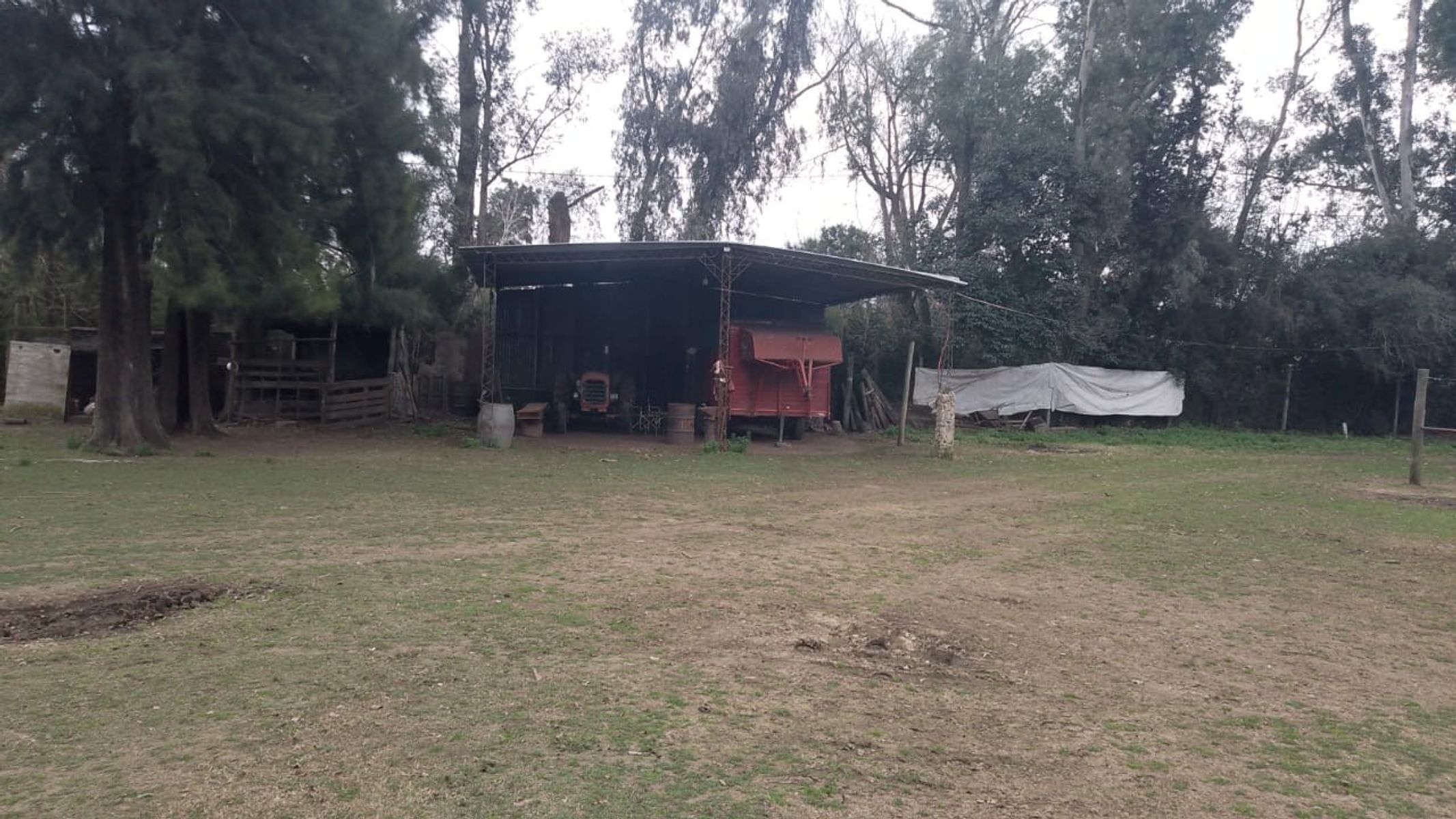 Campito Polero en Gral. Rodriguez a 2000 mts del centro de la ciudad — foto 4