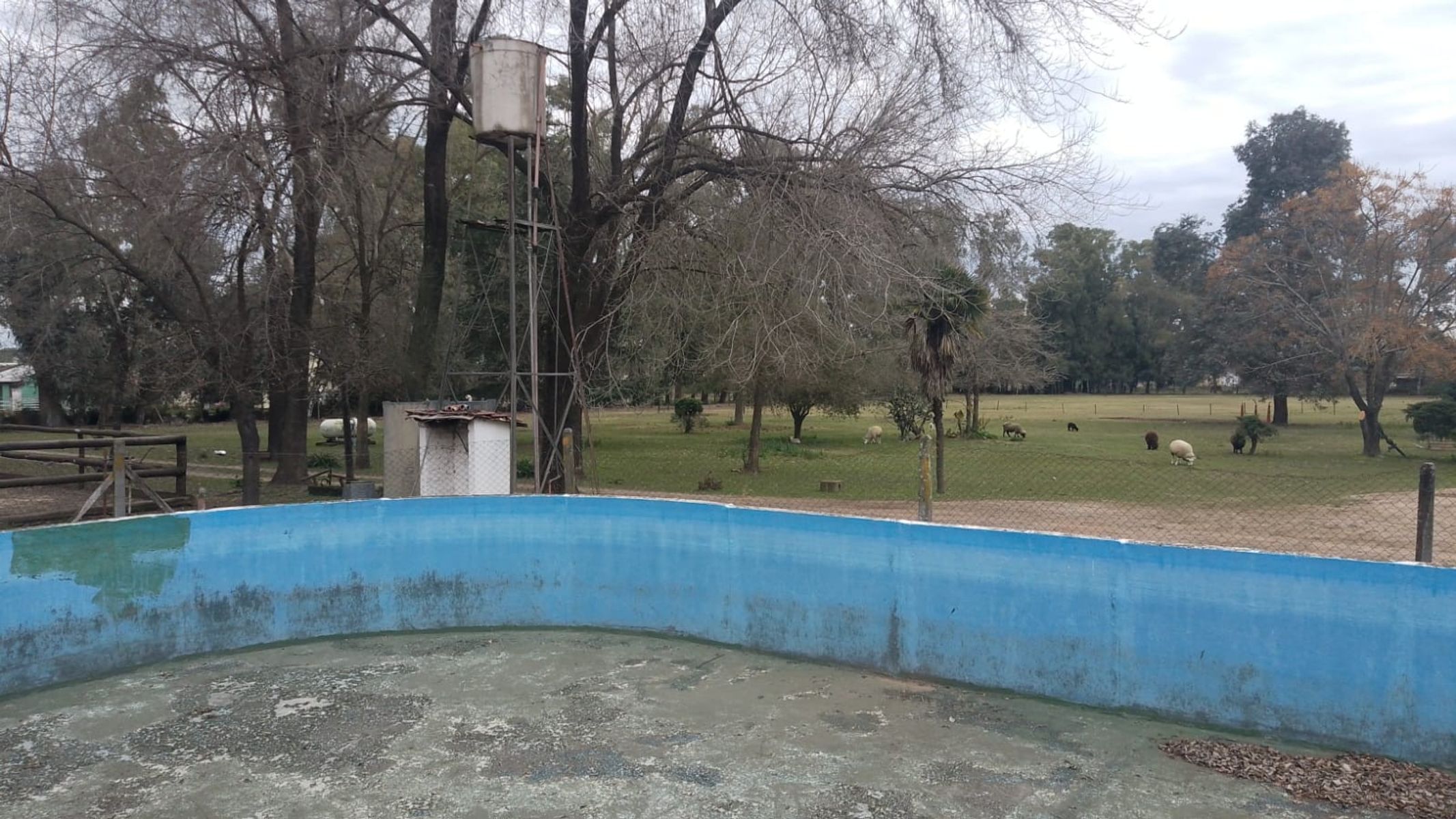Campito Polero en Gral. Rodriguez a 2000 mts del centro de la ciudad — foto 8