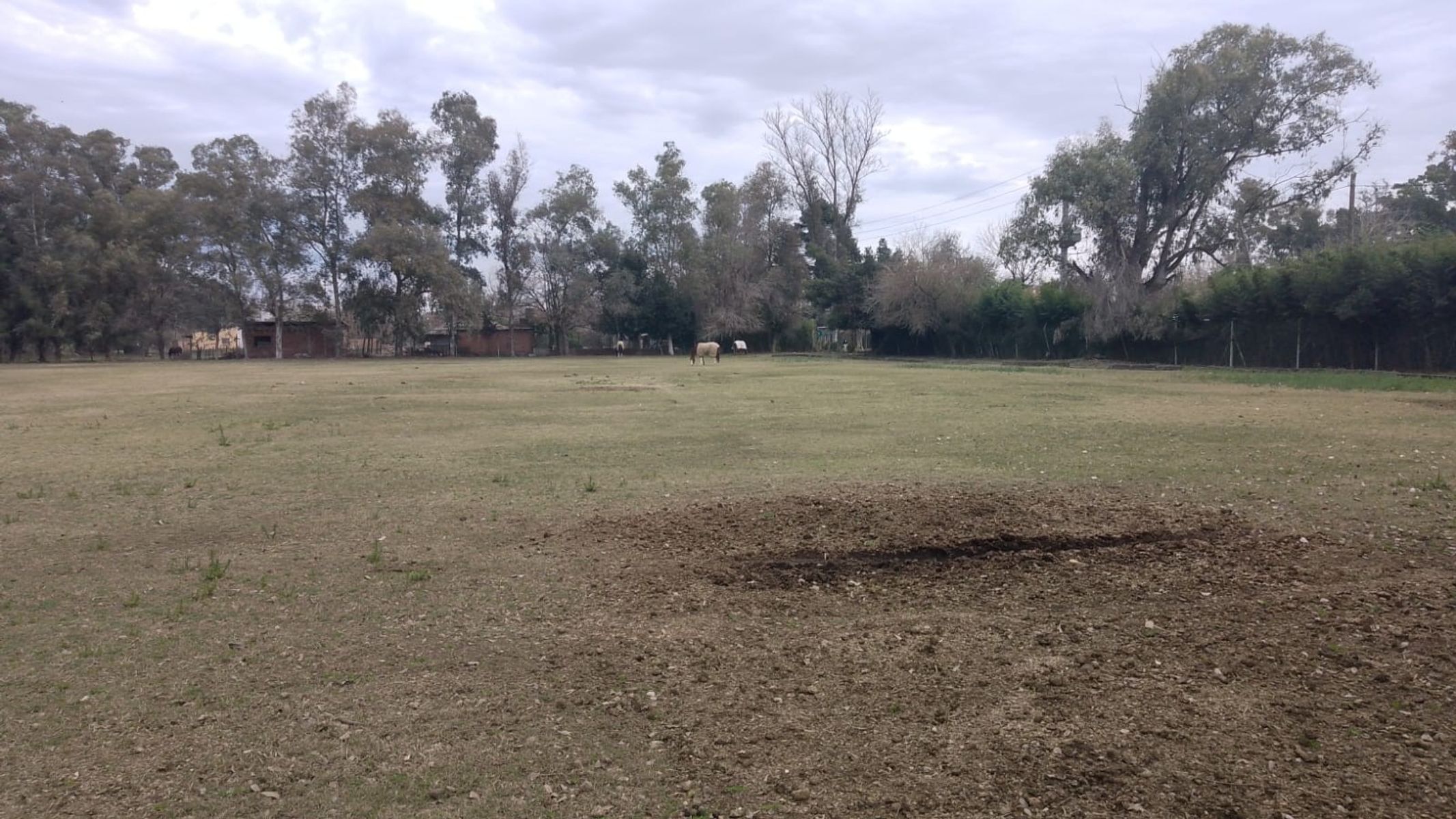 Campito Polero en Gral. Rodriguez a 2000 mts del centro de la ciudad — foto 10