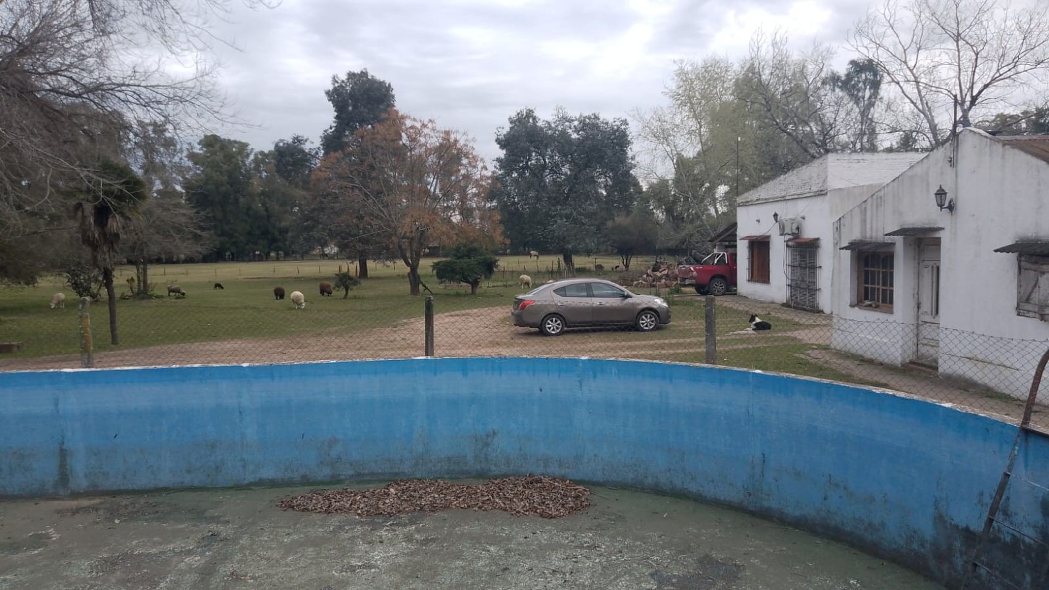 Campito Polero en Gral. Rodriguez a 2000 mts del centro de la ciudad — foto 11