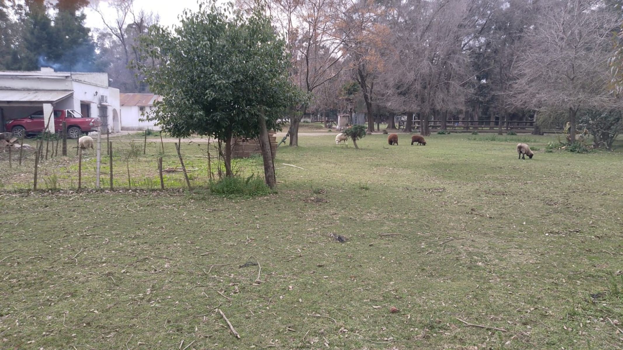 Campito Polero en Gral. Rodriguez a 2000 mts del centro de la ciudad — foto 13