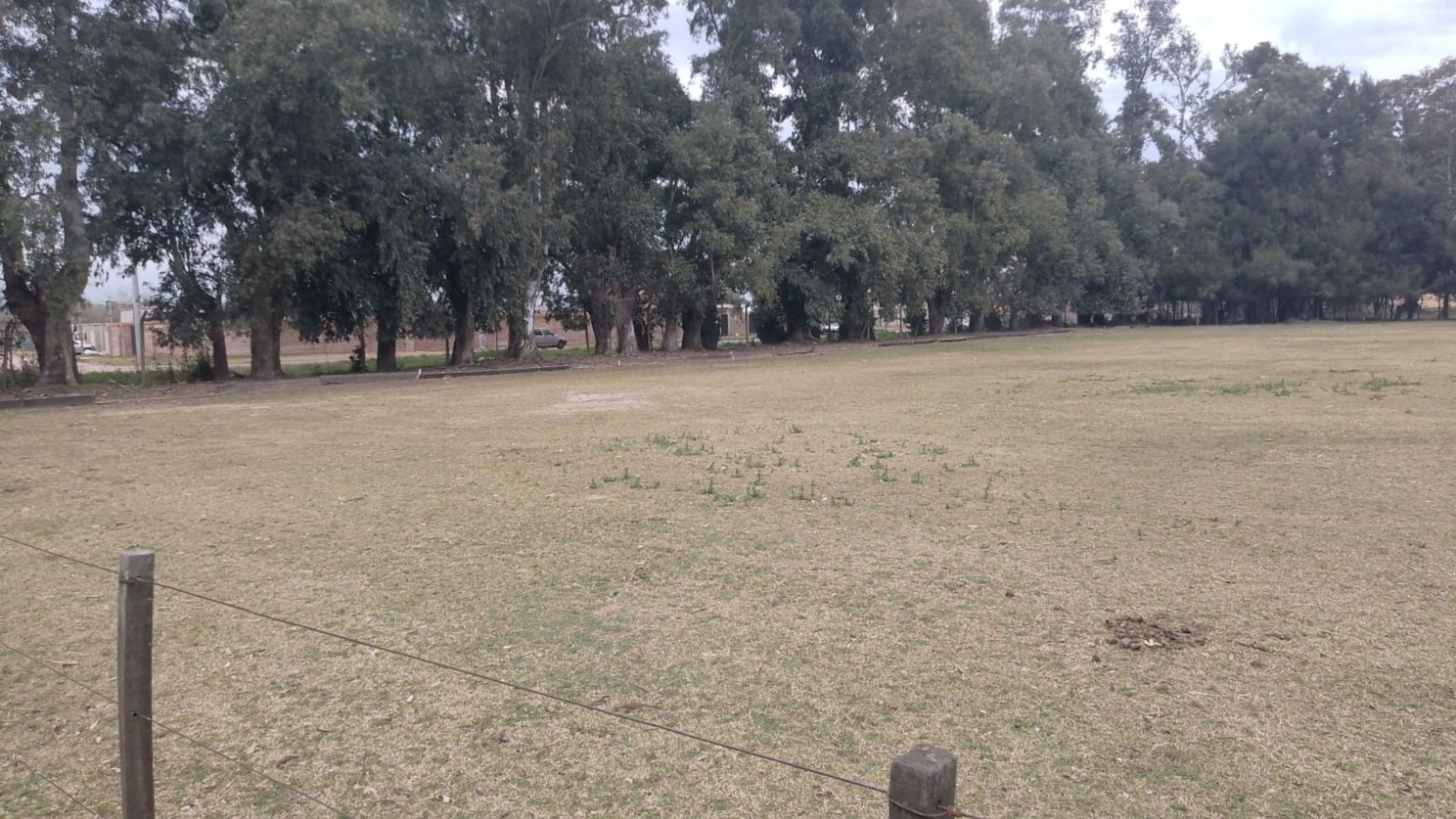 Campito Polero en Gral. Rodriguez a 2000 mts del centro de la ciudad — foto 15