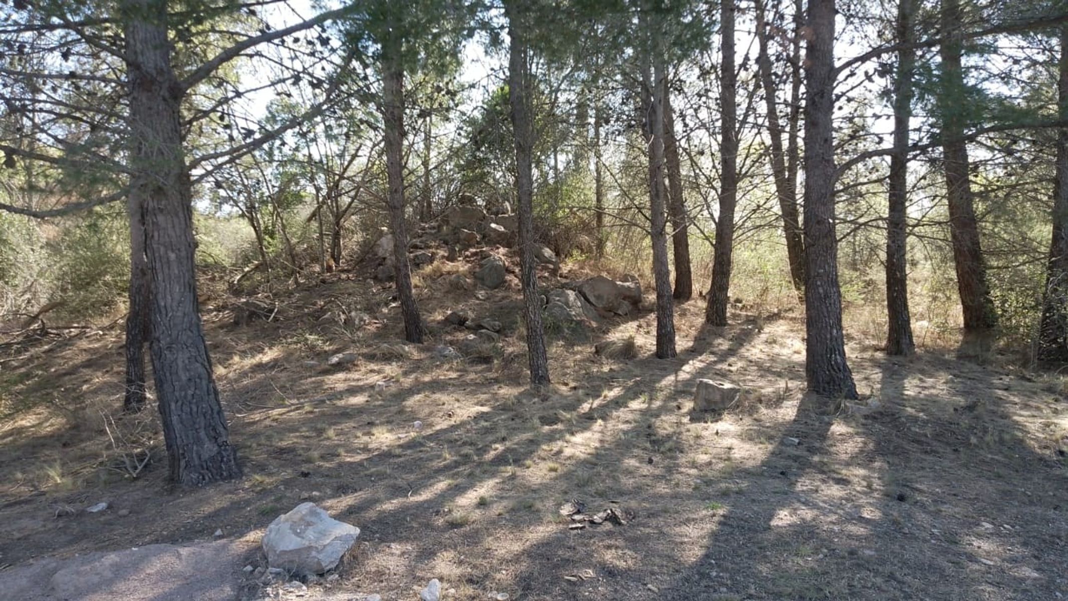 Lotes de 700 y 800 m2 en San Luis — foto 2