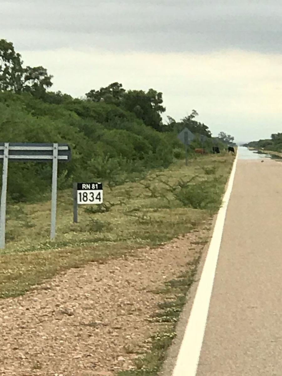 500 Ha EN VENTA EN SALTA . - 2