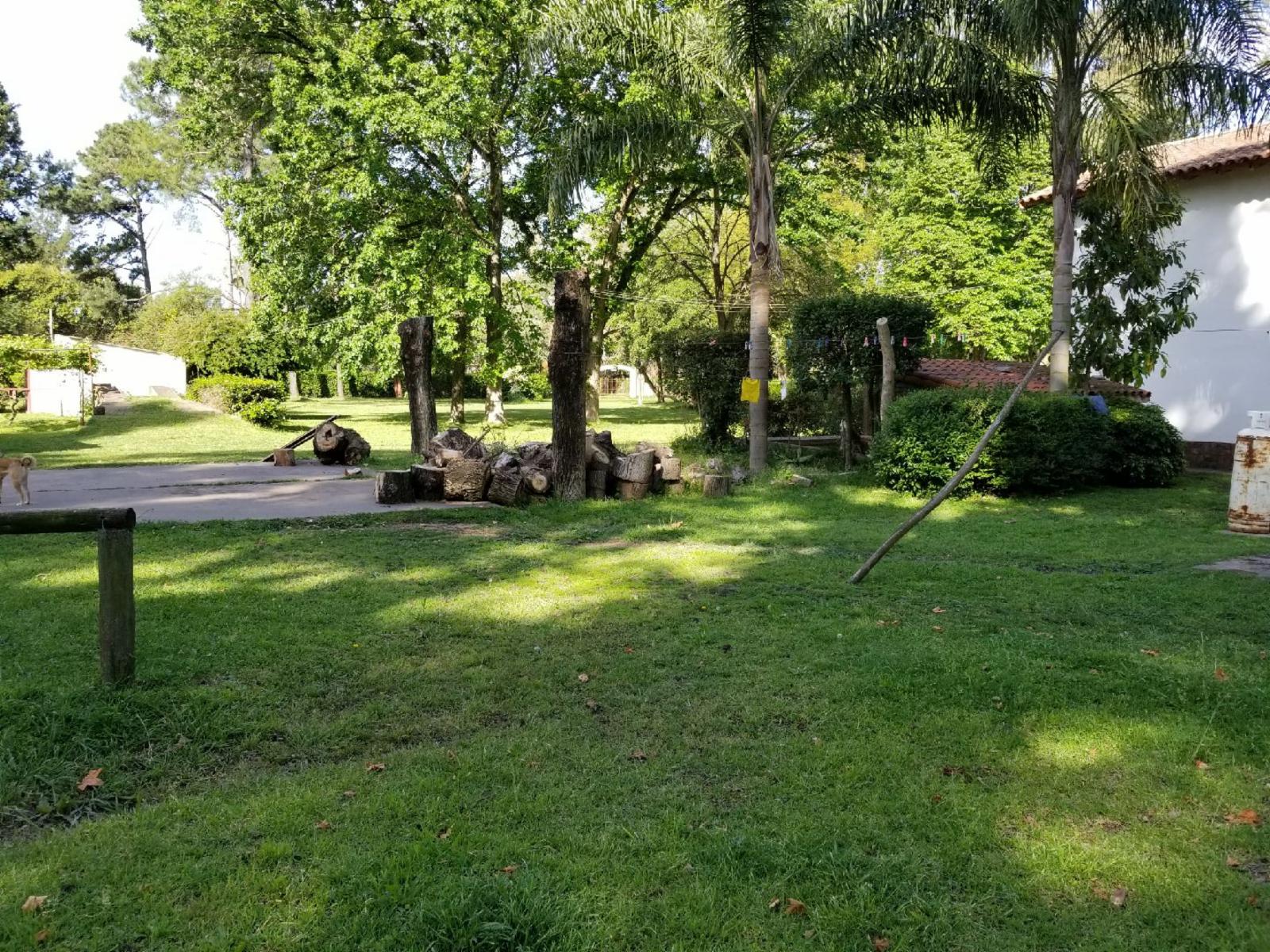 CASA QUINTA PARQUE DE 5083 m2 CON VARIEDAD DE ARBOLEDA - ZONA RESIDENCIAL NOVOA PROPIEDADES — foto 6